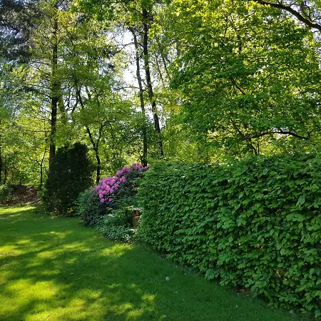 Knusse Bungalow Otterlo Veluwe Extérieur photo