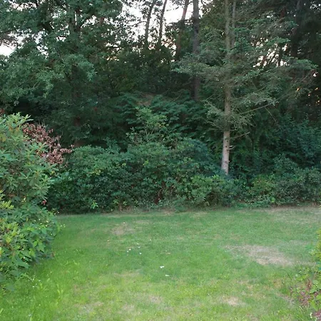 Knusse Bungalow Otterlo Veluwe Extérieur photo