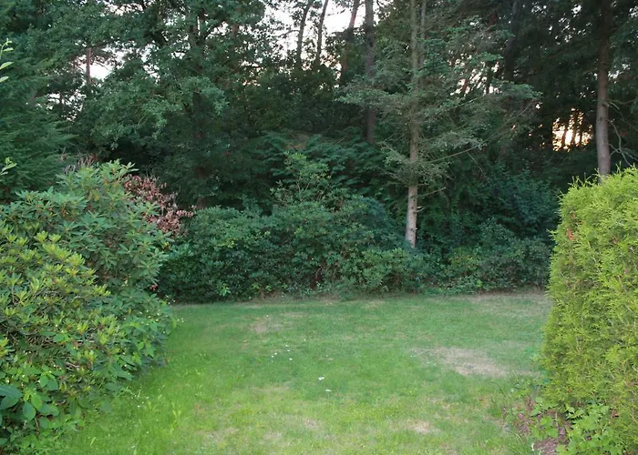 Knusse Bungalow Otterlo Veluwe