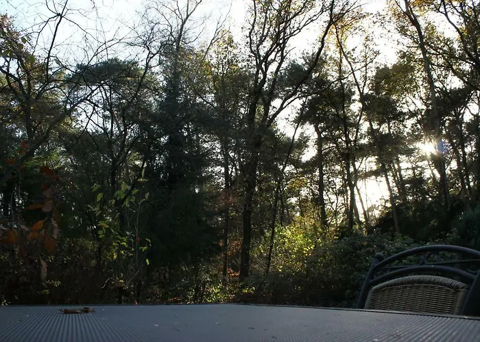 Knusse Bungalow Otterlo Veluwe