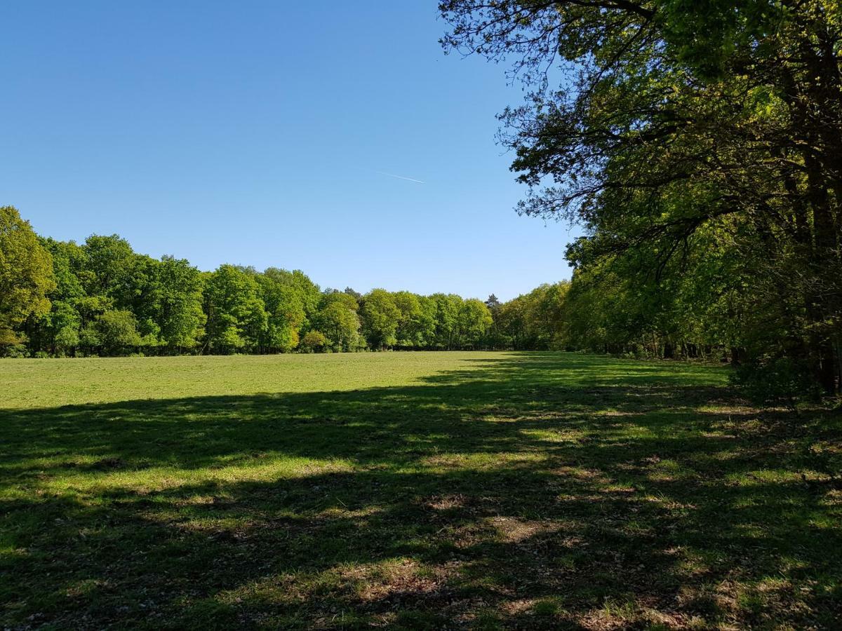 Knusse Veluwe
